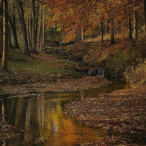 آخه جونمو نثار کردم قربون یار کردم یارم دوسم نداشت